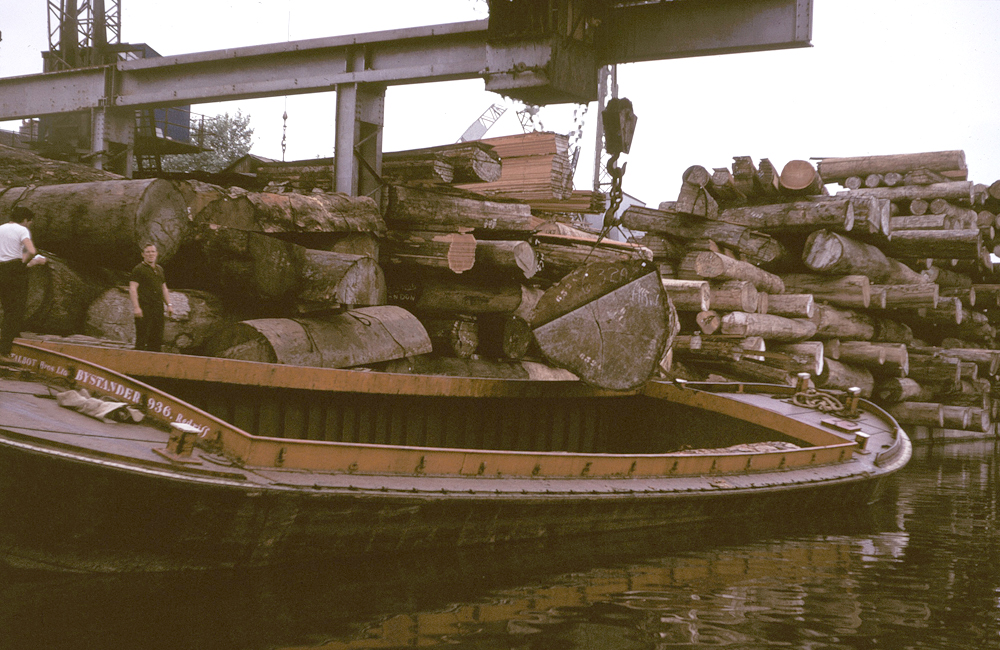 Timber on the River Lea